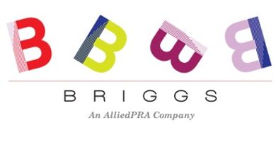 briggs logo new